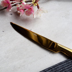 Lusso Steak Knives - Gold